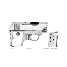 colt model 11908 vest pocket - Vincent. F