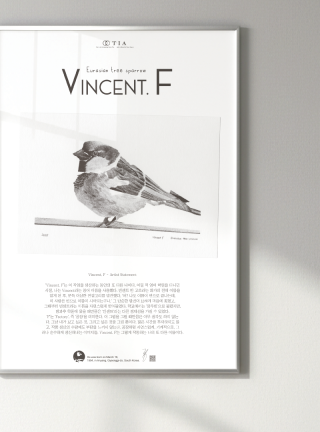 Eurasian tree sparrow - 빈센트F